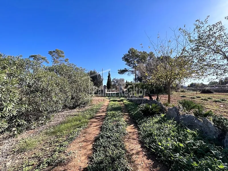 Country Estate for sale in Algaida of 16229 m2 — photo 4