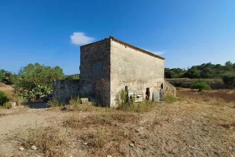 Land in Maria de la Salut, Mallorca — photo 9