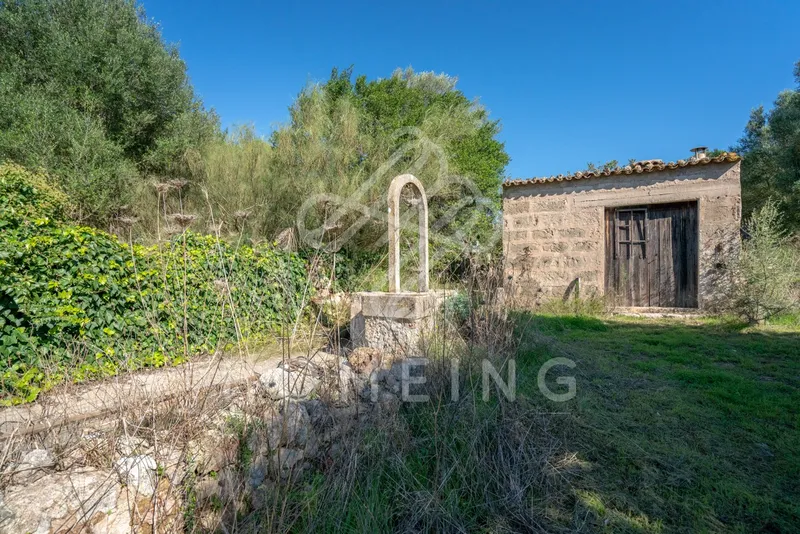 Rustic estate of 252,000 m2 from 1800, with house to renovate. — photo 12