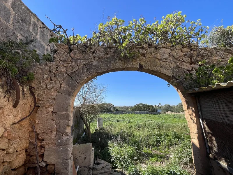 Journey back in time to the 16th century – historic finca in Campos — photo 3