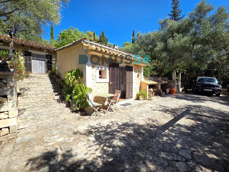 Villa with a swimming pool in Selva — photo 12