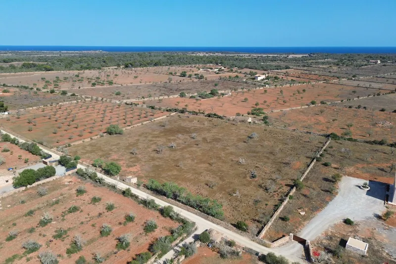 14,000 m2 Plot with sea views and project in Santanyi — photo 1