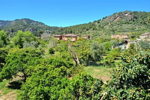 Villa in Soller, Mallorca — photo 11