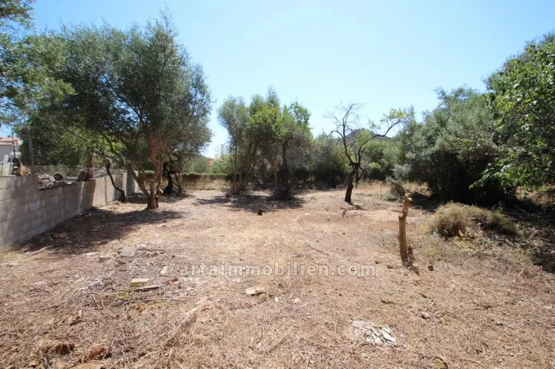 Plot in Capdepera — photo 1