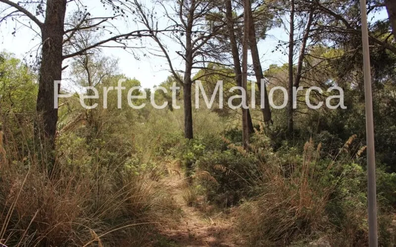 Building plot in a quiet cul-de-sac — photo 2
