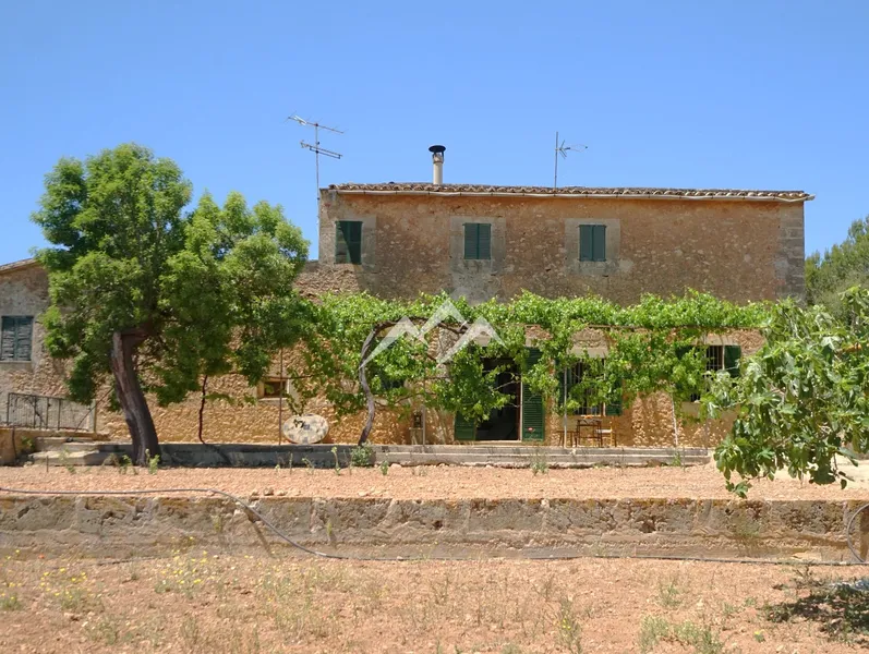 140,000 m2 Estate in Palma — photo 8