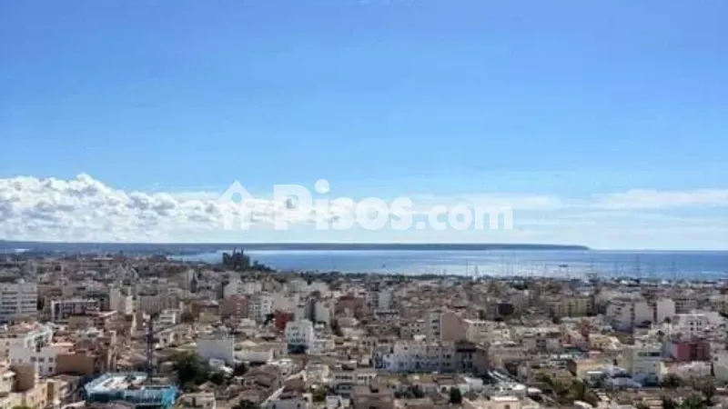 Apartment on Carrer de Dragonera — photo 3