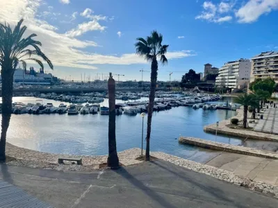 Loft-style apartment/investment with direct harbor views for sale - Can Barbara Palma — photo 1