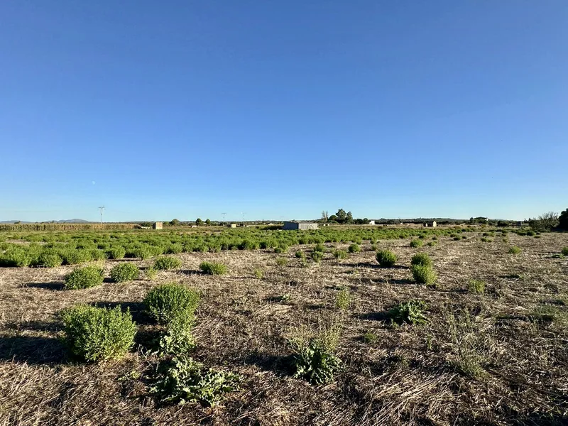 Fabulous building plot with project and building permits — photo 8