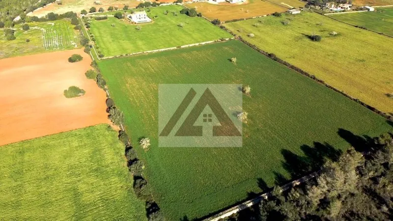 Ländlichles Land zu verkaufen in Campos — photo 11