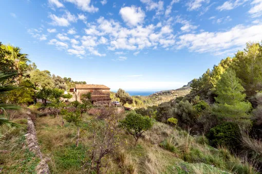 Deià, large rustic estate in the mountains a few minutes from Deià — photo 3