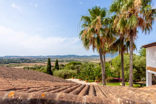 Montuiri, luxury finca with breathtaking views of the Tramuntana mountains and rental license — photo 4