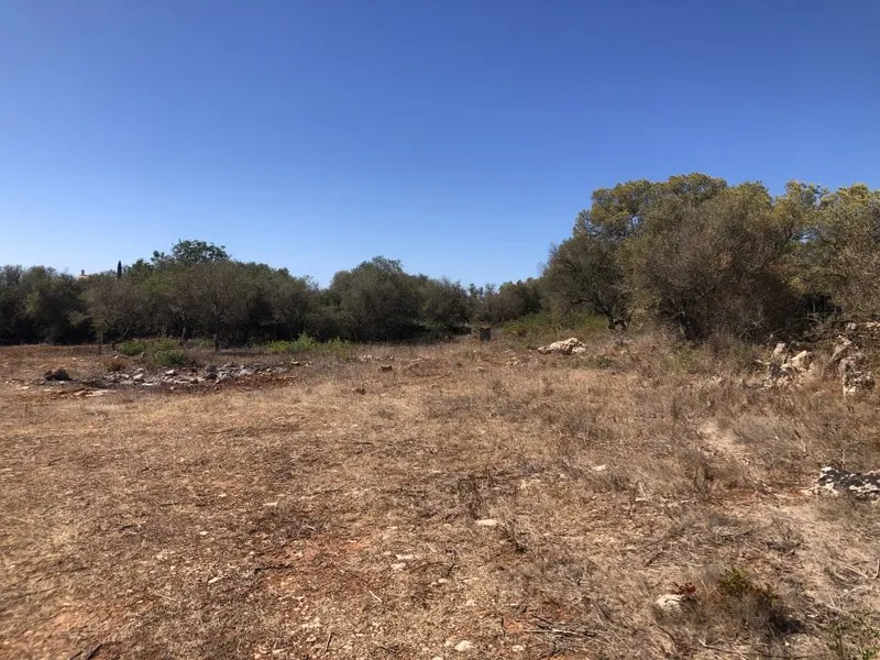 Plot of approximately 14,634 m² just a few minutes from Ses Salines. — photo 3