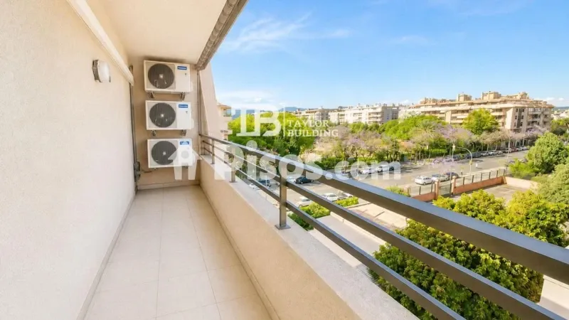 Apartment in S'Escorxador — photo 2