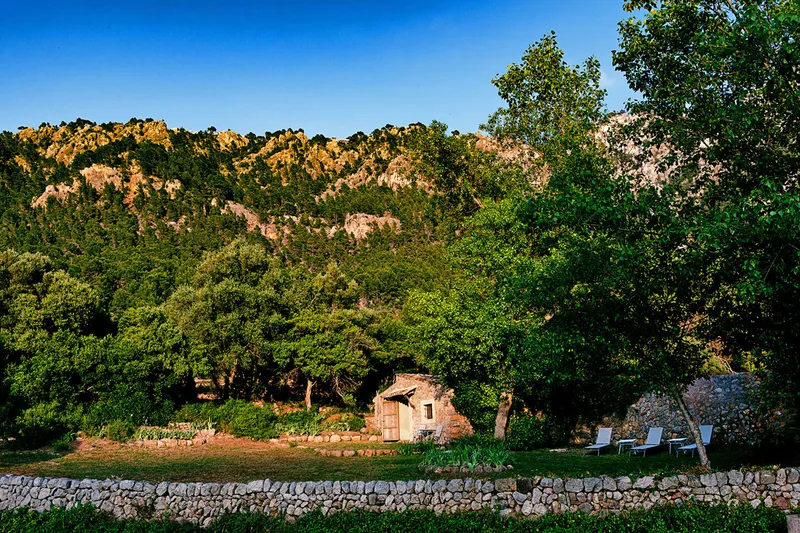 Exclusive Mallorca finca between the Tramuntana and the sea – pure privacy — photo 5