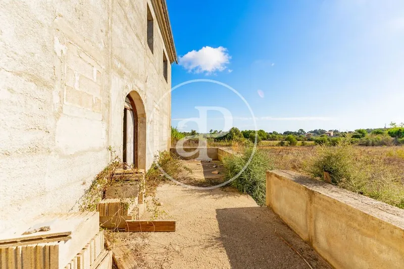 Land in Campanet, Province of Balearic Islands — photo 11