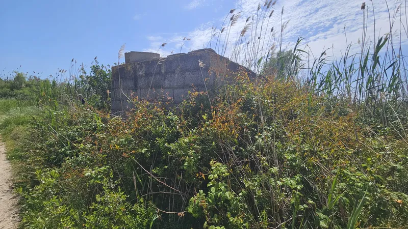 Rustic estate in S'Albufera, Sa Pobla — photo 2