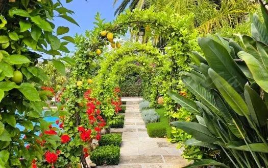 villa in Calvia — photo 1
