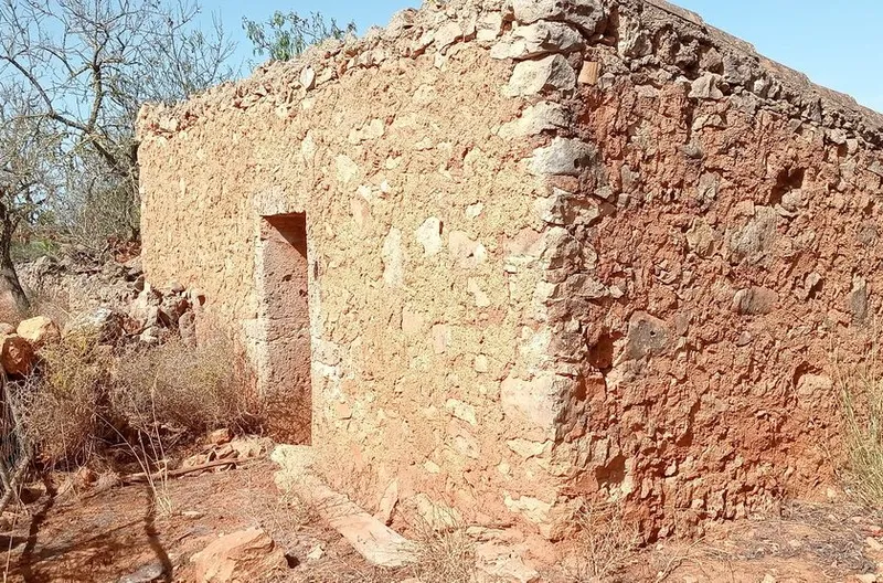 Rustic building plot between Cas Concos – Santanyi — T 22 CM — photo 2