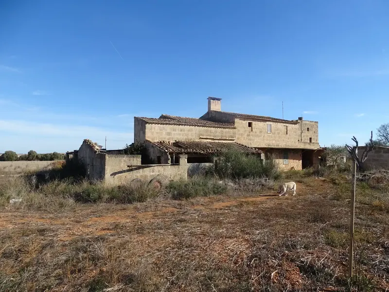 Rustic estate of 40,000 m2 with 485 m2 built — photo 3