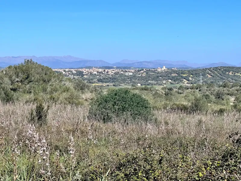 We are in Petra, in the middle of Pla de Mallorca, in a privileged setting with panoramic views, views of Ariany, Maria de la Salut — photo 8