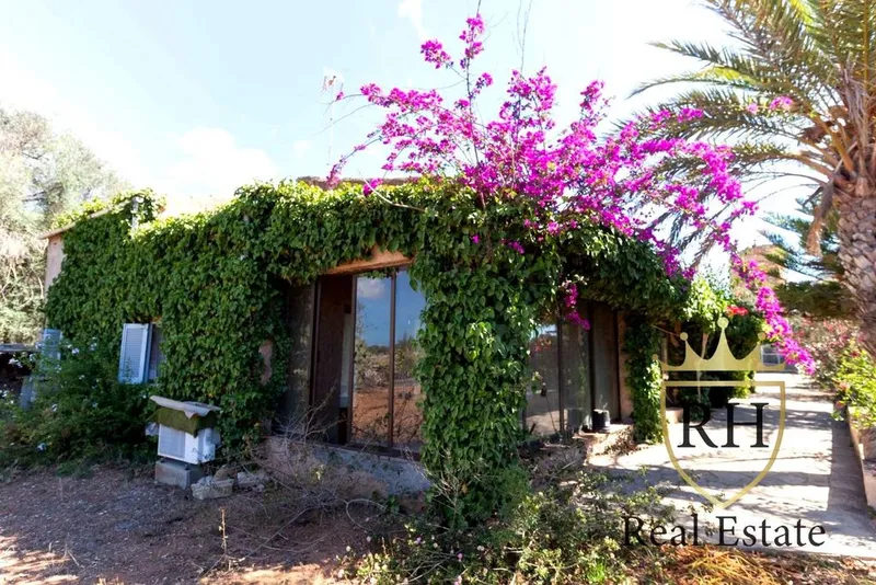 Townhouse in Santanyí, Province of Balearic Islands — photo 2