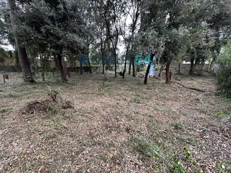 Urban plot in Son Toni Sa Pobla — photo 10