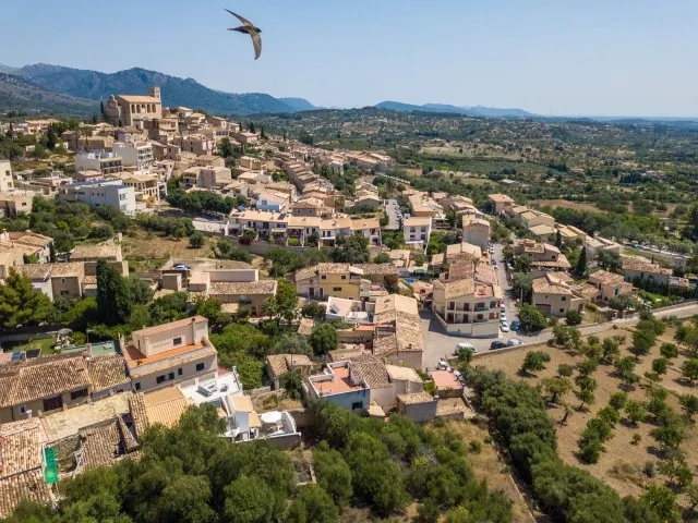 Beautiful plot for sale with 'bancales' between Selva and Caimari, Mallorca — photo 2