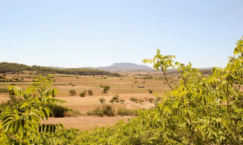 Manor house to renovate in Pina with a view to the Tramontana — photo 7