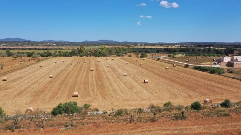 Plot with beautiful open views on a quiet plot 5 minutes from Campos — photo 2