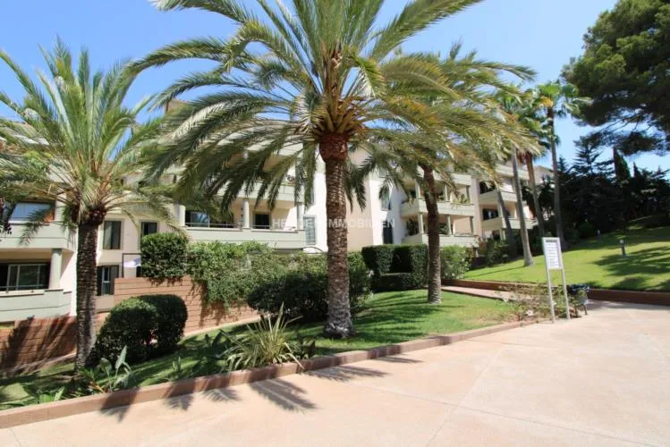 Penthouse San Agustin Mallorca for Rent — photo 2