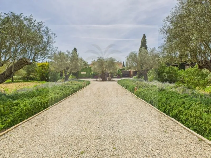 Rural or Farmhouse in Calvià, Province of Balearic Islands — photo 3