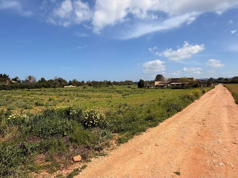 Land in Llubi, Mallorca — photo 1