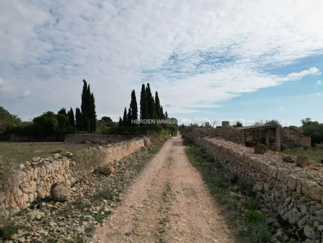 Building Plot for Sale in Llucmajor — photo 1