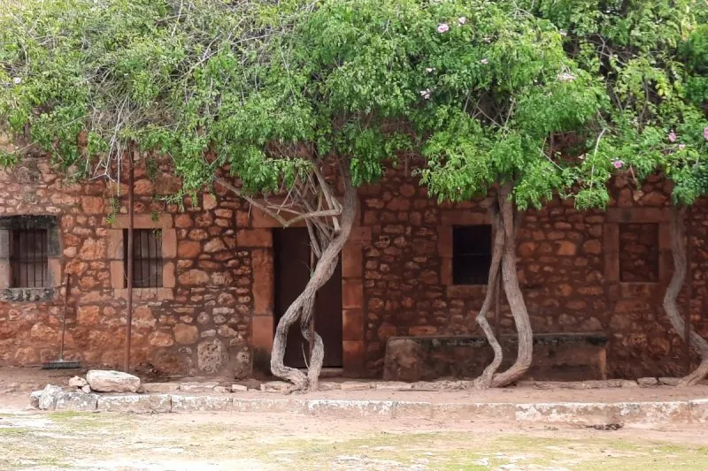 21024L- Finca Ideal para Inversores en Llucmajor — photo 1
