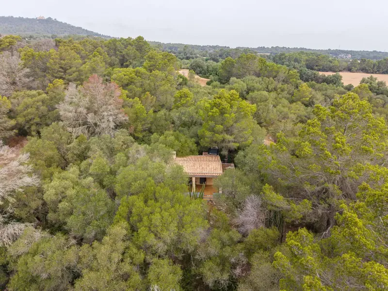 If you are looking for a refuge to enjoy the tranquility of the Mallorcan countryside, surrounded by nature and with excellent connections, this pro — photo 4