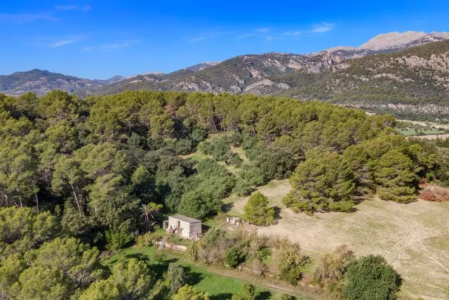 Country plot for sale ideal for building a family home in Moscari, Mallorca — photo 2