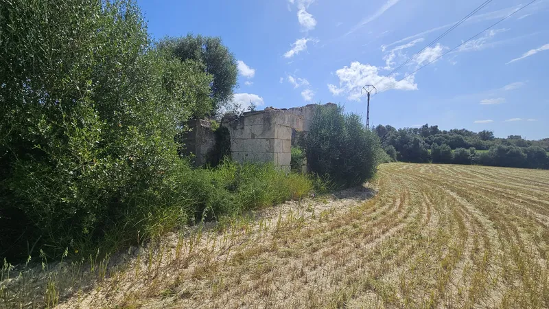 Rustic estate of 6,876 m2 in Muro — photo 1