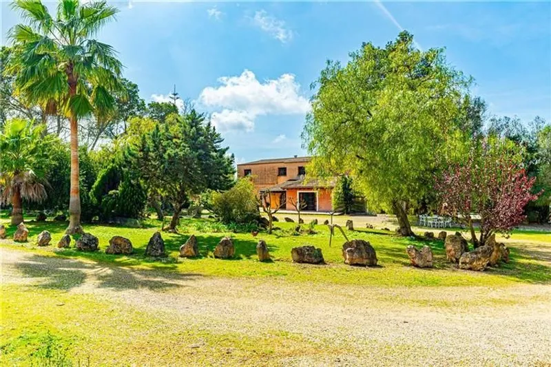 Estate in Diseminado Diseminados Var, 19, Algaida — photo 1