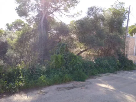 Building Site - Santanyí (Cala Llombards), Built Surface 200m², Plot Surface 680m² — photo 6