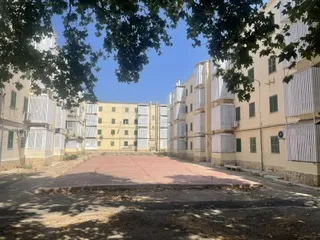 Apartment in Verge de Lluc, Palma — photo 12