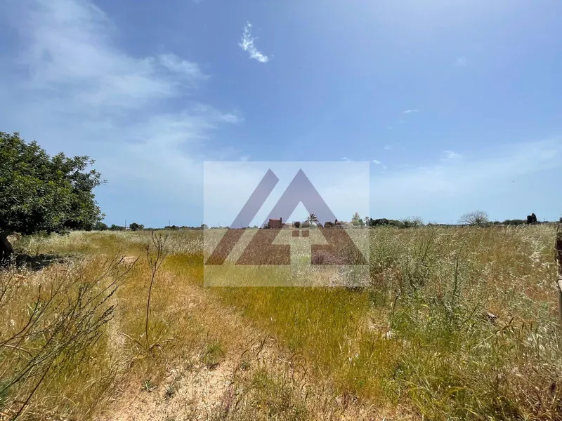 Rustic land for sale in Santanyi — photo 2
