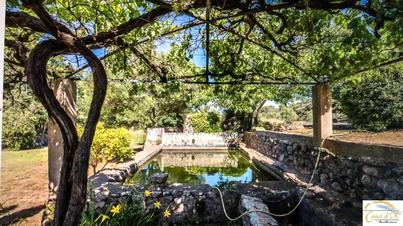 Authentic finca with Mediterranean charm and mature trees near Capdepera — photo 7