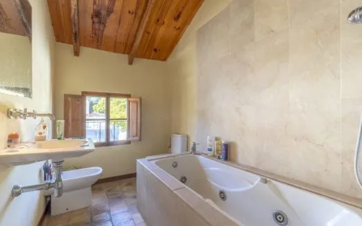 Villa with sea views in el Terreno — photo 4