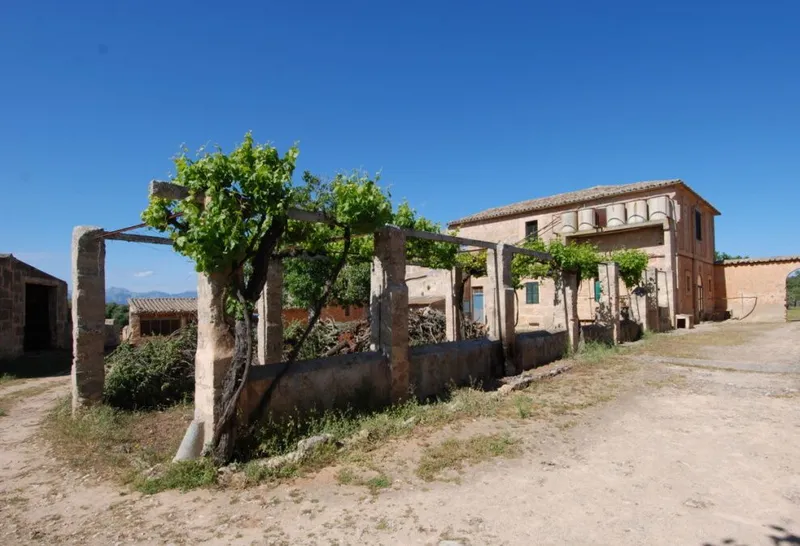 Original stately country house from 1850 in Algaida — photo 7