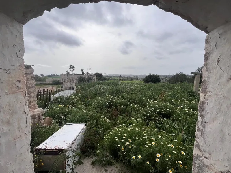 Rustic finca with great potential in Llubí - nature, privacy and possibility to build — photo 5