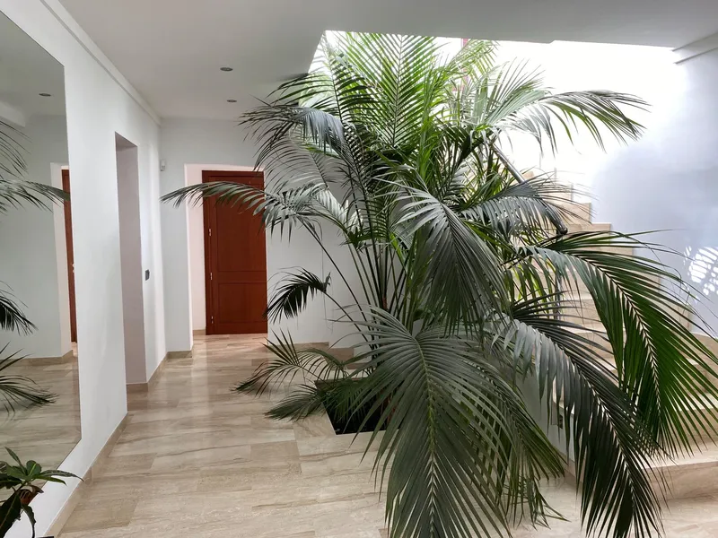 Luxury Villa in Felanitx — photo 4