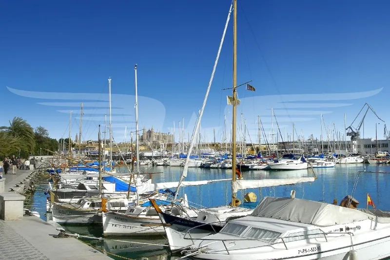 Newly built three-room apartment with a balcony—Energy Class A in downtown Palma — photo 12