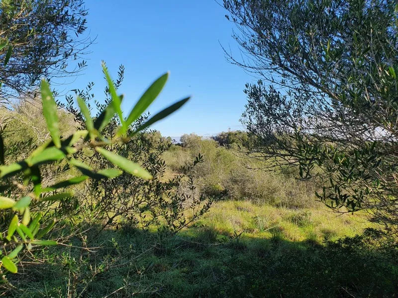 Rustic Plot — photo 3