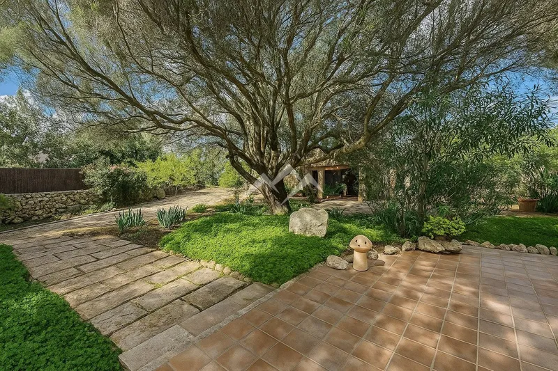 Finca with house and pool — photo 6